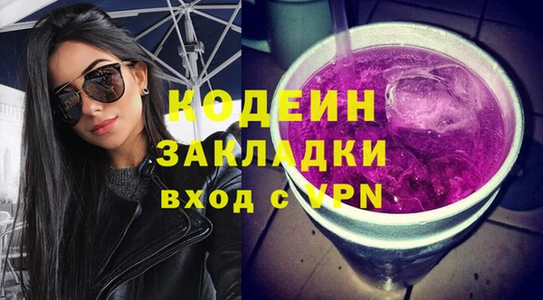 индика Володарск
