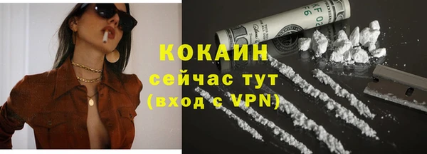 индика Володарск