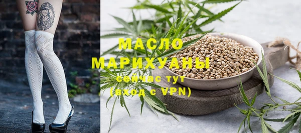 индика Володарск