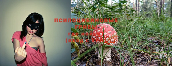 индика Володарск