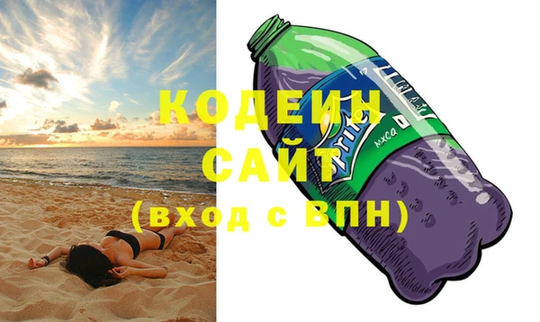 индика Володарск