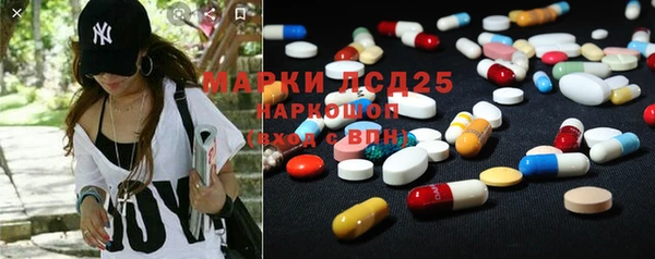 индика Володарск