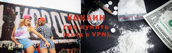 индика Володарск
