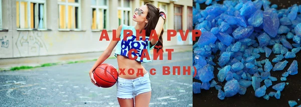 индика Володарск