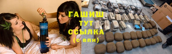 индика Володарск